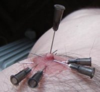 pin1.JPG