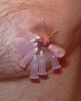 pin2.JPG