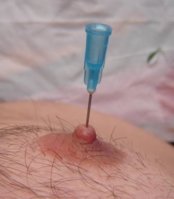 pin3.JPG