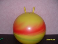 S1052375.JPG