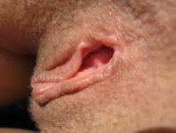 IMG_0040_1.jpg