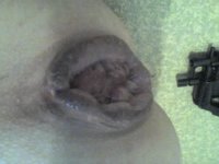 08_07_09_0807.jpg