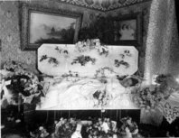 SB74home.jpg