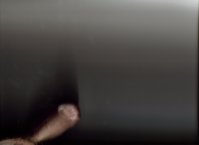 scan_chlena.jpg