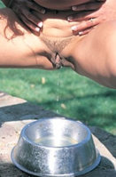 sp_783_5b.jpg