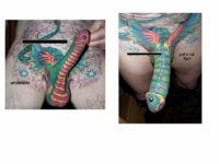 15367029_bad_tattoo_14.jpg