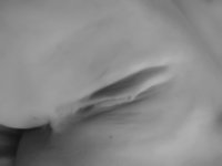DSC02150.JPG
