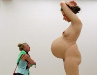 392_300_8459_pregbig.jpg
