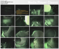 thumbs20090914163833.jpg