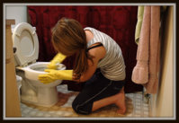 68076_Cleaning_Toilet.jpg
