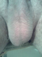 Ôîòî046.jpg