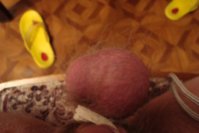 Êîïèÿ_DSC01170.JPG