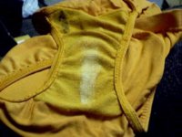 yellow1.jpg