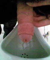 015_1.jpg