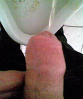 016_1.jpg