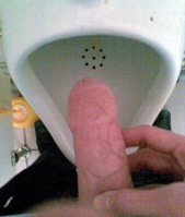017_1.jpg