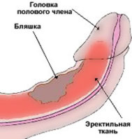 226174_0.jpg