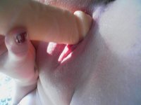 07112009.jpg