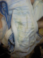 DSC00240.JPG