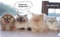 POST_2_1095929977.JPG