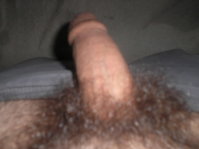 15567147_01.jpg