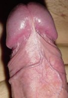 IMG483.jpg