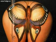 07.jpg
