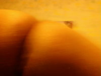 Ôîòî_0036.jpg