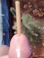 PIC_2704.jpg