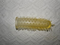 PC270981.JPG