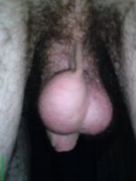 DSC00071.jpg