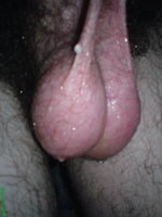 DSC00063.jpg