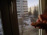 22d20342f3.jpg