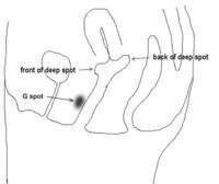 gspot.jpg