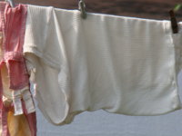 DSC00266.JPG