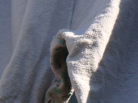 DSC00271.JPG