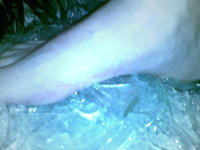 03022010112.jpg
