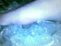 03022010113.jpg