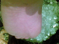 03022010120.jpg