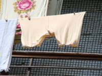 DSC01799_ï.JPG