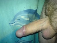 picture_87277.jpg