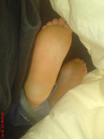 72e33a4436.jpg