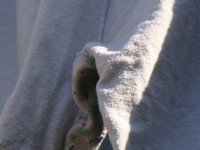 DSC00271_ê.JPG