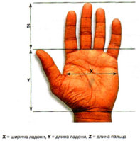 34830289_info_t_80_hirotypemeter.jpg