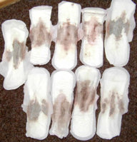 7443e092.jpg