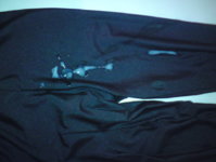 DSC01186.JPG