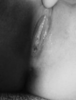Img00017.jpg
