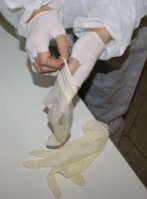 DSC07221.jpg