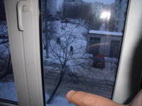 3bd68c2b49.jpg