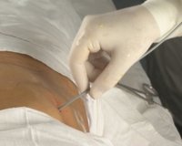bscap010.jpg